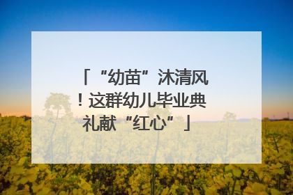 “幼苗”沐清风！这群幼儿毕业典礼献“红心”