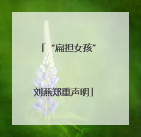 “扁担女孩”刘燕郑重声明