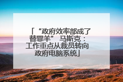“政府效率部成了替罪羊” 马斯克：工作重点从裁员转向政府电脑系统