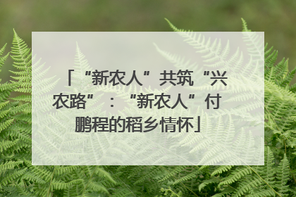 “新农人”共筑“兴农路”：“新农人”付鹏程的稻乡情怀