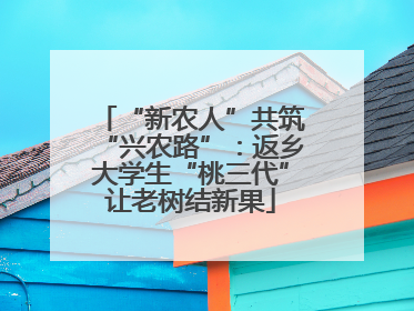 “新农人”共筑“兴农路”：返乡大学生“桃三代”让老树结新果