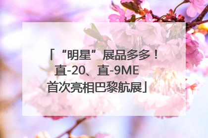 “明星”展品多多！直-20、直-9ME首次亮相巴黎航展