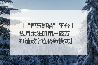 “智慧熊猫”平台上线月余注册用户破万 打造数字连侨新模式