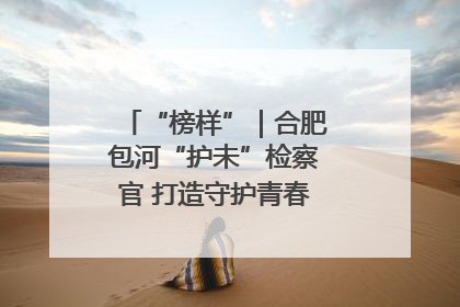 “榜样”｜合肥包河“护未”检察官 打造守护青春成长的永恒灯塔