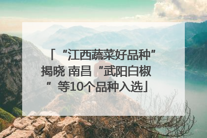 “江西蔬菜好品种”揭晓 南昌“武阳白椒”等10个品种入选