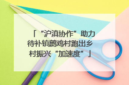 “沪滇协作”助力待补镇鹧鸡村跑出乡村振兴“加速度”