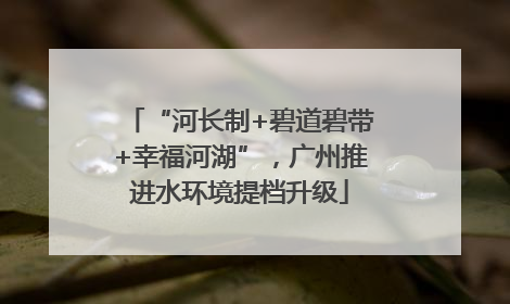 “河长制+碧道碧带+幸福河湖”，广州推进水环境提档升级