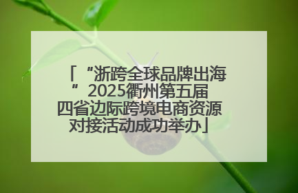 “浙跨全球品牌出海”2025衢州第五届四省边际跨境电商资源对接活动成功举办