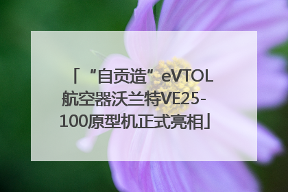 “自贡造”eVTOL航空器沃兰特VE25-100原型机正式亮相