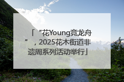 “花Young竞龙舟”，2025花木街道非遗周系列活动举行