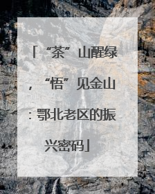 “茶”山醒绿，“悟”见金山：鄂北老区的振兴密码