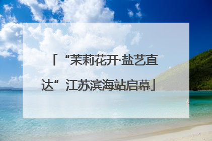 “茉莉花开·盐艺直达”江苏滨海站启幕