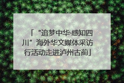 “追梦中华·感知四川”海外华文媒体采访行活动走进泸州古蔺
