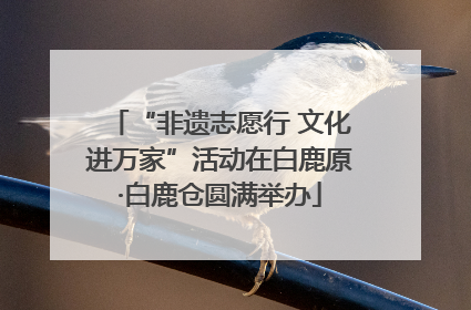 “非遗志愿行 文化进万家”活动在白鹿原·白鹿仓圆满举办