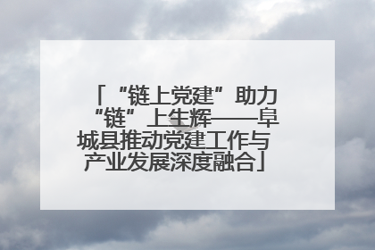 “链上党建”助力“链”上生辉——阜城县推动党建工作与产业发展深度融合