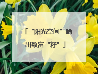 “阳光空间”晒出致富“籽”