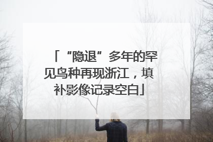 “隐退”多年的罕见鸟种再现浙江，填补影像记录空白