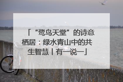 “鹭鸟天堂”的诗意栖居：绿水青山中的共生智慧丨有一说一