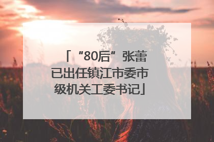 “80后”张蕾已出任镇江市委市级机关工委书记