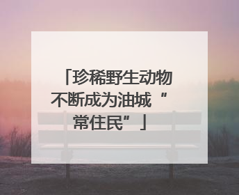 珍稀野生动物不断成为油城“常住民”