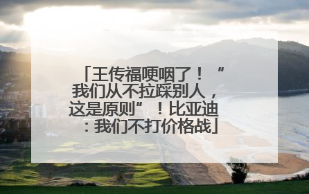 王传福哽咽了！“我们从不拉踩别人，这是原则”！比亚迪：我们不打价格战
