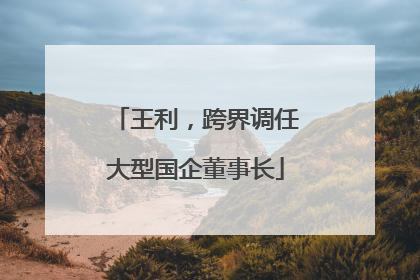 王利，跨界调任大型国企董事长