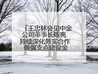 王忠林会见中金公司董事长陈亮 持续深化务实合作 做强支点建设金融支撑