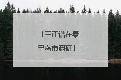 王正谱在秦皇岛市调研