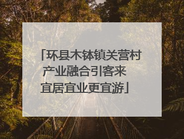 环县木钵镇关营村 产业融合引客来 宜居宜业更宜游