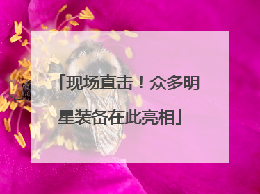 现场直击！众多明星装备在此亮相