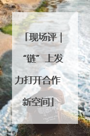 现场评｜“链”上发力打开合作新空间