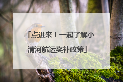 点进来！一起了解小清河航运奖补政策