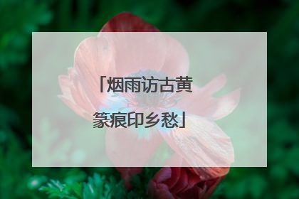 烟雨访古黄 篆痕印乡愁