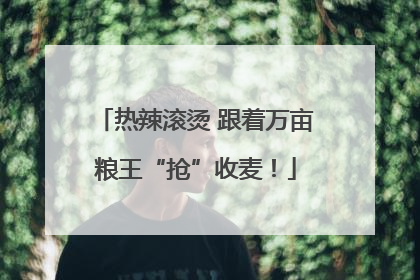 热辣滚烫 跟着万亩粮王“抢”收麦！
