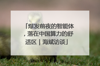 爆发前夜的智能体，落在中国算力的舒适区｜海斌访谈