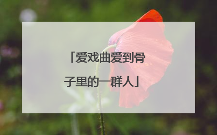 爱戏曲爱到骨子里的一群人