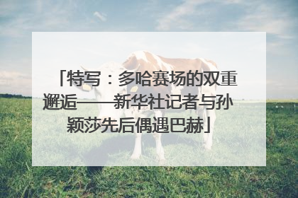 特写：多哈赛场的双重邂逅——新华社记者与孙颖莎先后偶遇巴赫