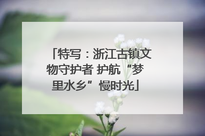特写：浙江古镇文物守护者 护航“梦里水乡”慢时光