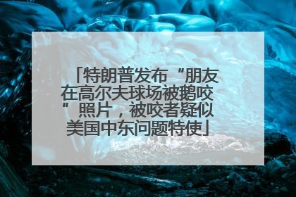 特朗普发布“朋友在高尔夫球场被鹅咬”照片，被咬者疑似美国中东问题特使