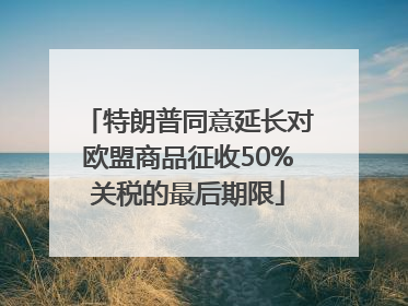 特朗普同意延长对欧盟商品征收50%关税的最后期限