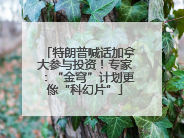 特朗普喊话加拿大参与投资！专家：“金穹”计划更像“科幻片”