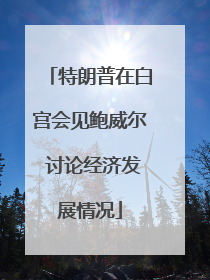 特朗普在白宫会见鲍威尔 讨论经济发展情况