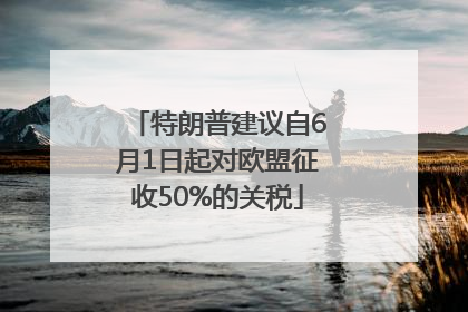 特朗普建议自6月1日起对欧盟征收50%的关税