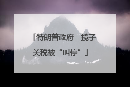 特朗普政府一揽子关税被“叫停”