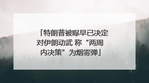 特朗普被曝早已决定对伊朗动武 称“两周内决策”为烟雾弹
