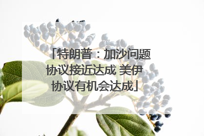特朗普：加沙问题协议接近达成 美伊协议有机会达成