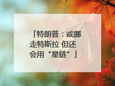 特朗普：或挪走特斯拉 但还会用“星链”
