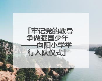牢记党的教导 争做强国少年——向阳小学举行入队仪式
