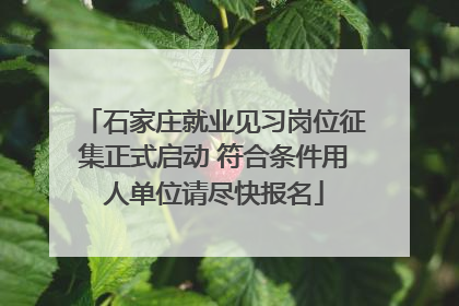 石家庄就业见习岗位征集正式启动 符合条件用人单位请尽快报名