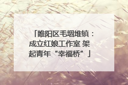 睢阳区毛堌堆镇：成立红娘工作室 架起青年“幸福桥”